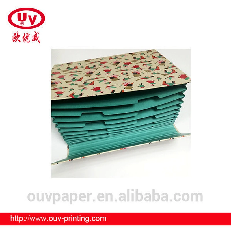 2017 ! Hot-selling Classify file folder Stationary File Folder