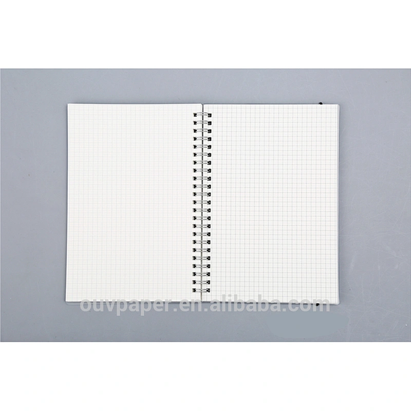 Hot Sale Custom Design A5 Spiral Notebook With Translucent PP Cover