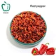Dried red bell pepper for spices