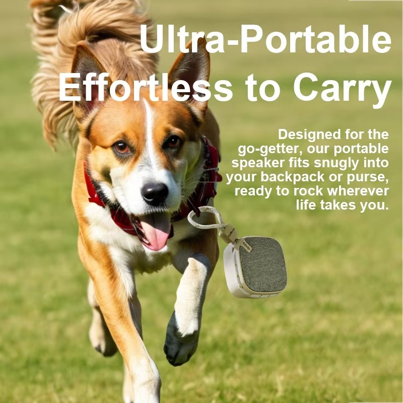 Portable Small Wireless Karaoke Woofer Speakers System Mini Subwoofer Bocina Bluetooth Speaker