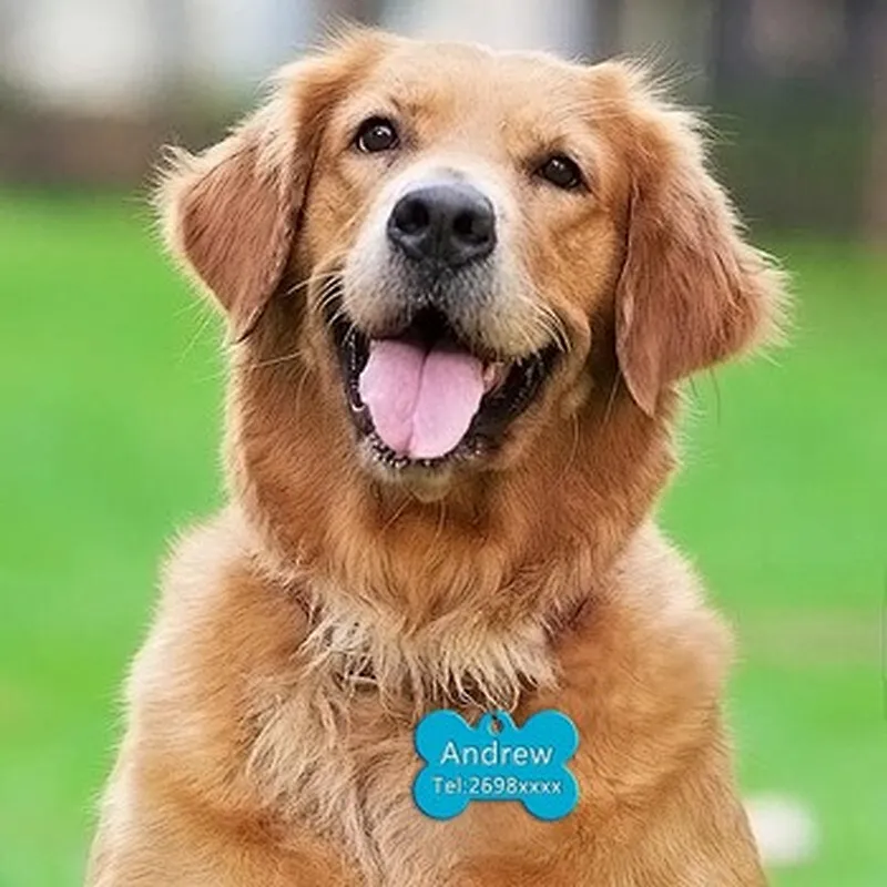 custom wholesale  Blank  dog tag delicate tags Pet supplies  dog artifact for custom badge