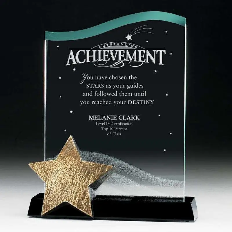 Clear plastic trophy customized shape transparent acrylic trophy as badge of honor