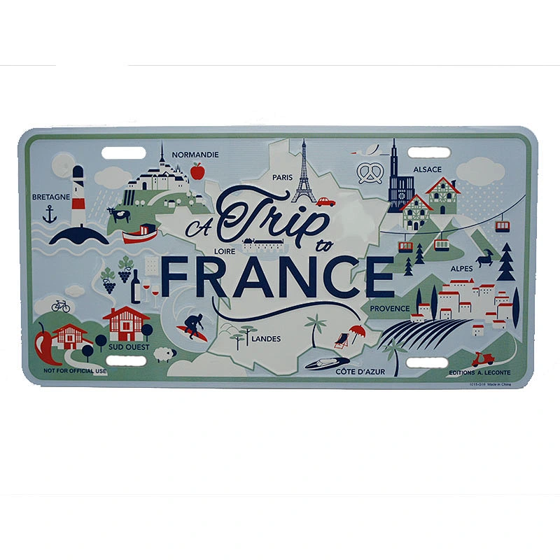 Custom decorative remote car logo license plates