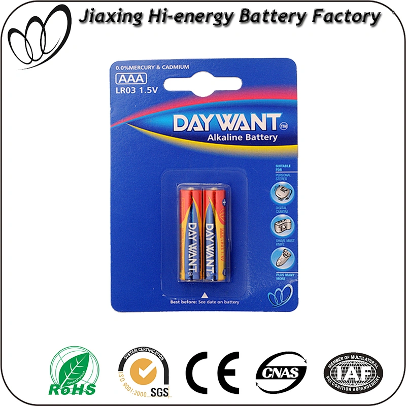 SGS ROHS certificate AM4 LR03 battery AAA factory brand and OEM