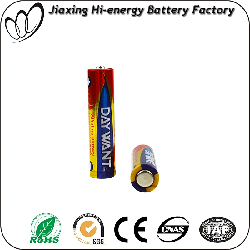 SGS ROHS certificate AM4 LR03 battery AAA factory brand and OEM