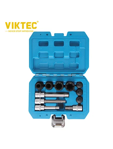 Socket and Bit
