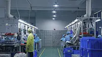 aurora led light bar