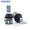 aurora 12v 24v led bulb
