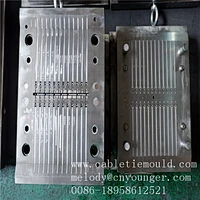Zhejiang Taizhou Huangyan Cable Tie injection mold manufacture