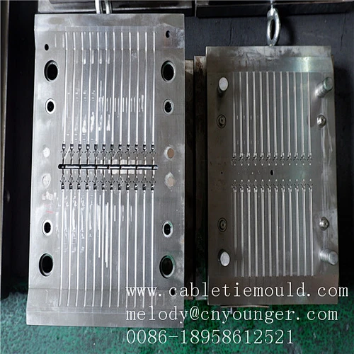 Zhejiang Taizhou Huangyan Cable Tie injection mold manufacture
