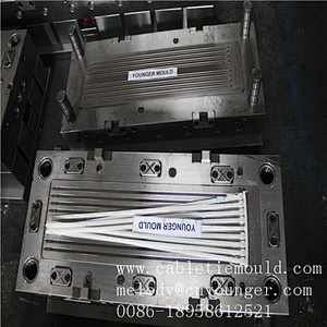automotive screw head nylon cable zip tie injection mould manufacturer in mould city taizhou huangyan