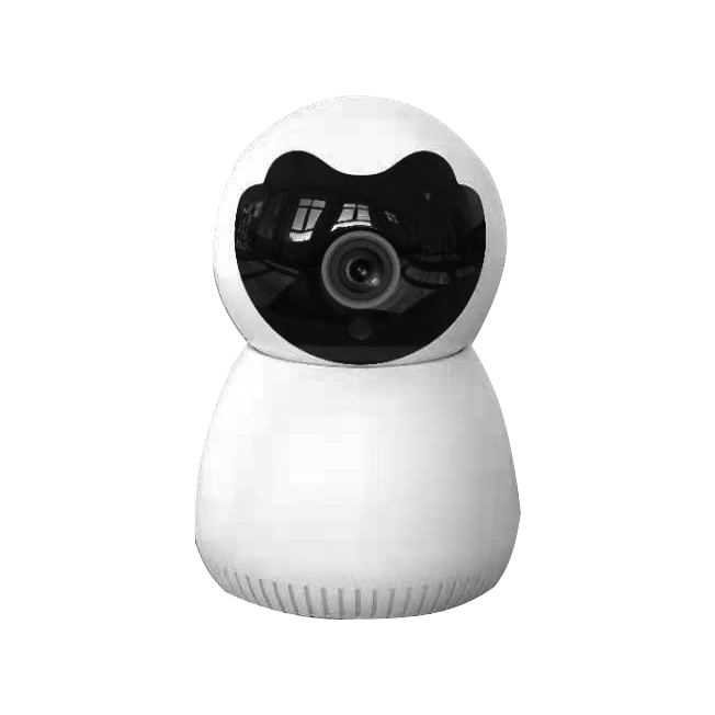 Courtyard Light Camera