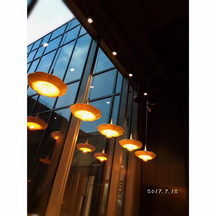 project reference for flower lamp