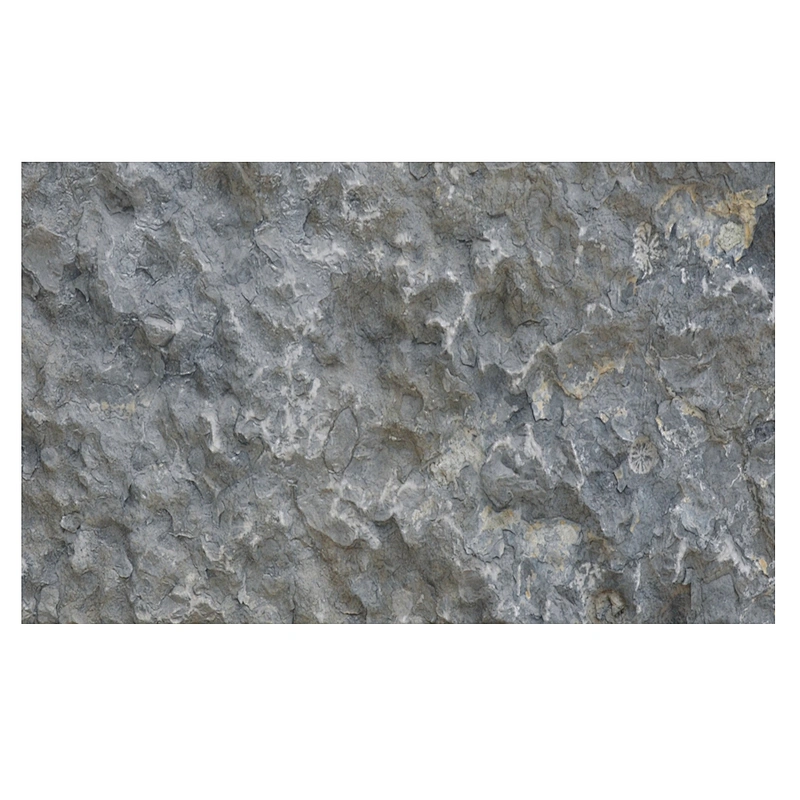 CHEAP Darkgray Marble Tiles With Customized Best Prices