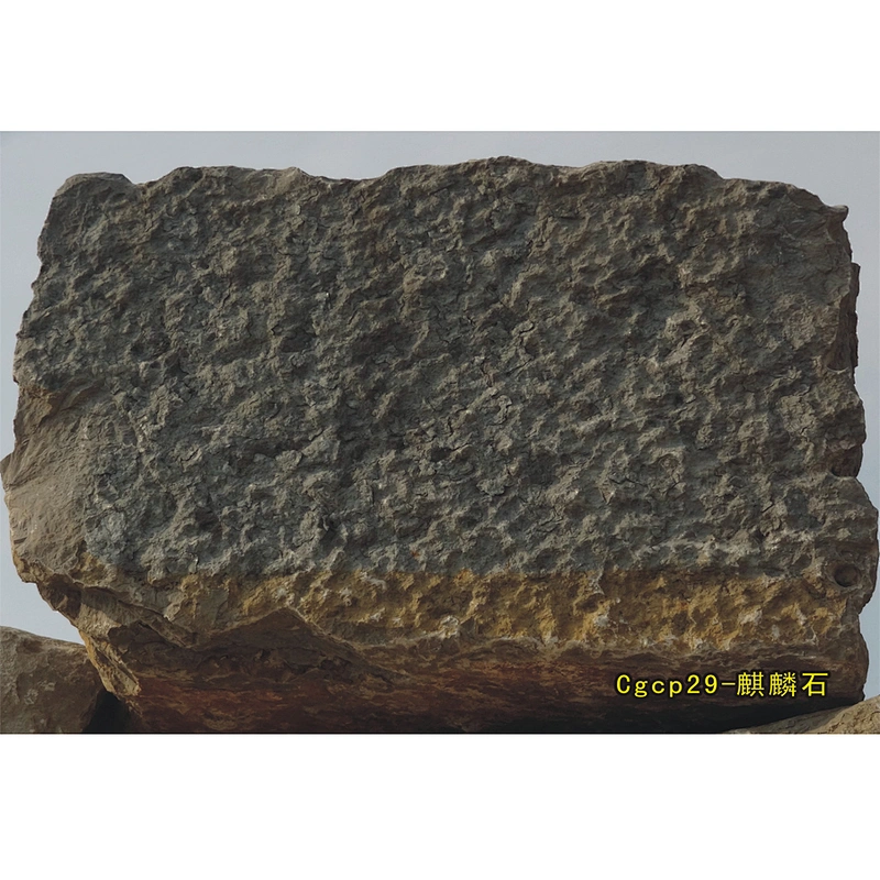 CHEAP Darkgray Marble Tiles With Customized Best Prices