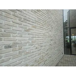 White Concrete with Clay Thin Brick Veneer Corners