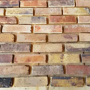 Reclaimed Antique Thin Brick Veneer Used Fire Clay Brick for Building Wall