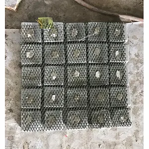 G684 Black Granite Split Meshed Back Net Paving Stone for Sidewalk