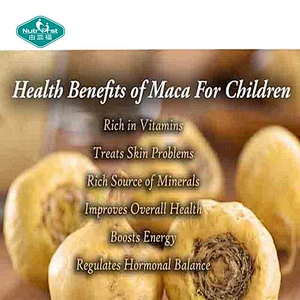 Professional Herbal Extract Factory Fertility Enhancement Ingredients Maca Root Extract Lepidium Meyenii Powder