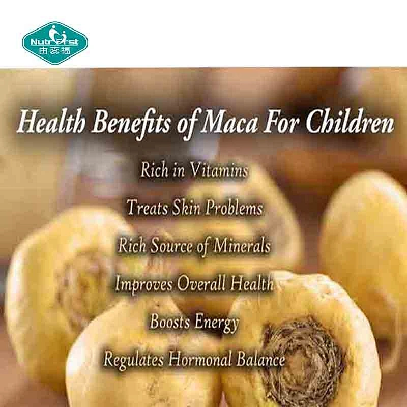 Professional Herbal Extract Factory Fertility Enhancement Ingredients Maca Root Extract Lepidium Meyenii Powder
