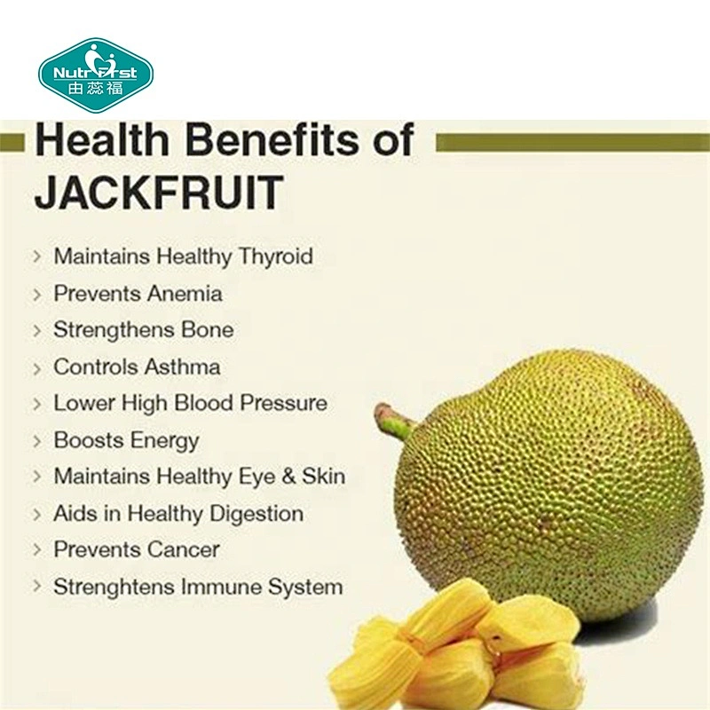 Nutrifirst Customer Customized Bulk Frozen Dried Jackfruit Powder Jack Fruit Extract For Ice Cream Baking Smoothies