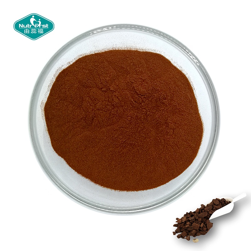 Chinese Supplier Plant Extracts 95% Proanthocyanidins Raw Material Bulk Pine Bark Extract Powder OPC 95%