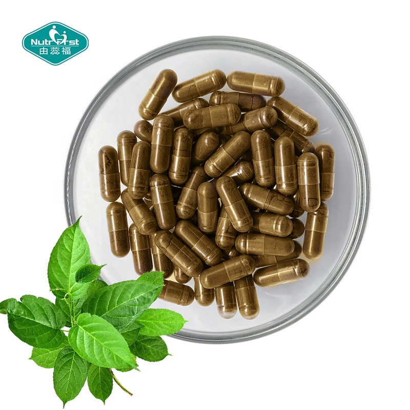 Regular suplementos de azúcar en sangre vitamina C Gymnema Sylvestre cápsulas de extracto de hierbas para sistema Cardiovascular