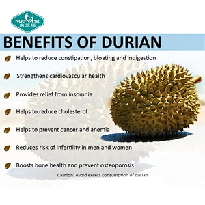 Organic Food Grade Durian Extract Water-Soluble Fresh Durian Fruit Flavor Powder for Ice Cream Baking Smoothies in Bulk