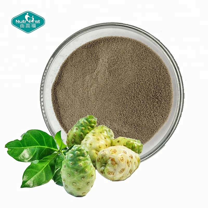 Nutrifirst orgánico sin aditivos jugo concentrado de polvo de extracto de fruta de noni liofilizado Morinda citrifolia.