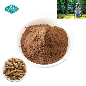 Nutrifirst Customize Formula Bromelain Supplement Plant Extract Vitamin C Nutrients Premix Blends Powder