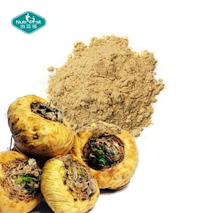 Professional Herbal Extract Factory Fertility Enhancement Ingredients Maca Root Extract Lepidium Meyenii Powder