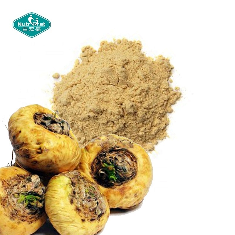 Professional Herbal Extract Factory Fertility Enhancement Ingredients Maca Root Extract Lepidium Meyenii Powder