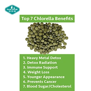 Nutrifirst Manufacturer Supply Bulk Organic Water Soluble Broken Cell Chlorella Spirulina Protein Powder