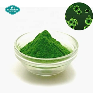 Polvo de proteína de espirulina de Chlorella de células rotas solubles en agua orgánicas a granel de suministro de fabricante de Nutrifirst