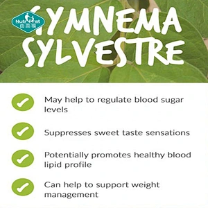 Regular suplementos de azúcar en sangre vitamina C Gymnema Sylvestre cápsulas de extracto de hierbas para sistema Cardiovascular