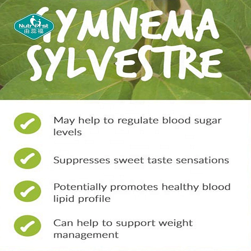 Regular suplementos de azúcar en sangre vitamina C Gymnema Sylvestre cápsulas de extracto de hierbas para sistema Cardiovascular