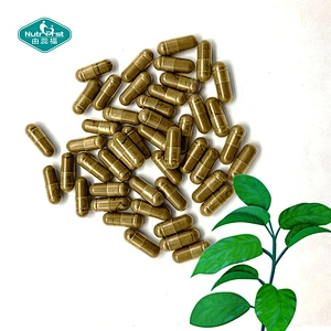 Regular suplementos de azúcar en sangre vitamina C Gymnema Sylvestre cápsulas de extracto de hierbas para sistema Cardiovascular
