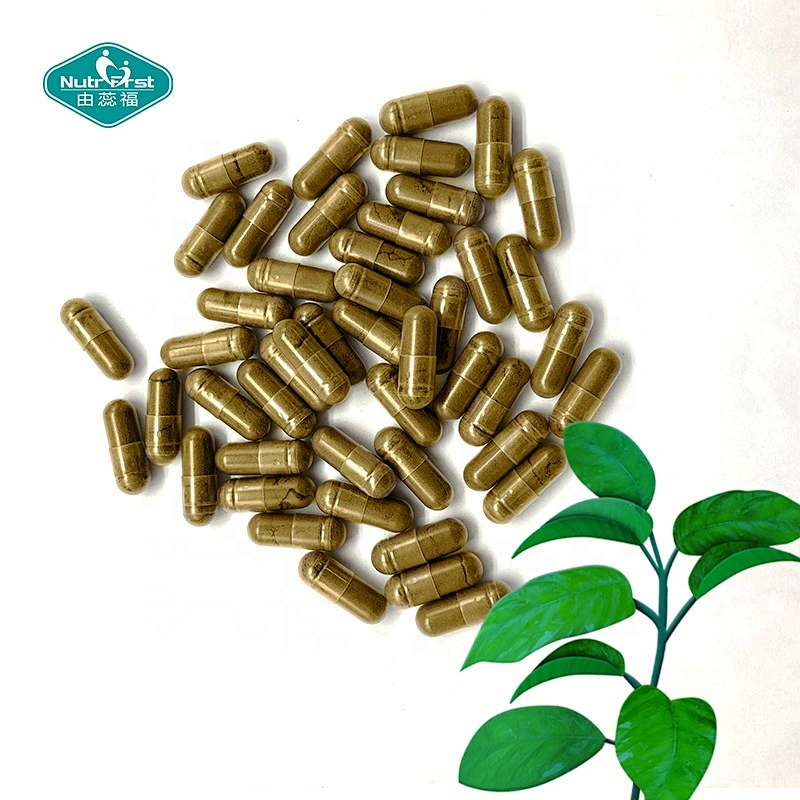 Regular suplementos de azúcar en sangre vitamina C Gymnema Sylvestre cápsulas de extracto de hierbas para sistema Cardiovascular