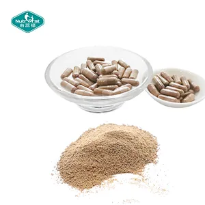 Nutrifirst Cápsulas termogénicas quemadoras de grasa Recortadora de cintura y suplementos para la hinchazón para mujeres y hombres Suplemento dietético