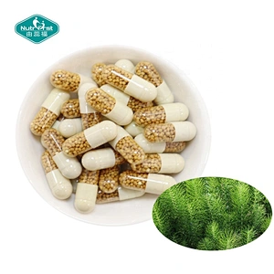 Suplemento Nutrifirst para el cuidado del cabello, cápsulas de extracto de Schachtelhalm de cola de caballo para el crecimiento de la reparación del cabello con vitamina del complejo B
