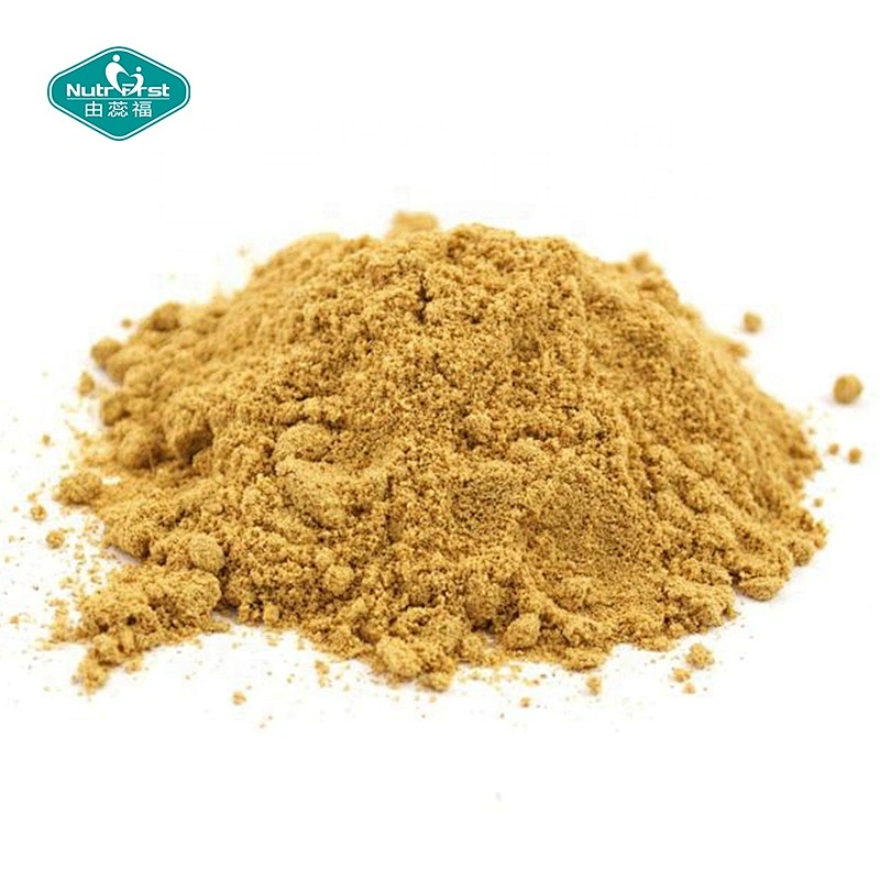 Nutrifirst Supply Polvo de extracto de polisacárido de hongo Cordyceps orgánico Cordyceps Militaris Sinensis