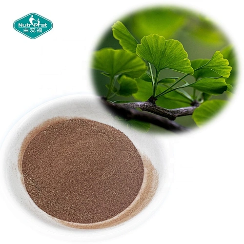 Polvo orgánico de la hoja de Ginkgo Biloba del suplemento dietético profesional de la fábrica soluble en agua