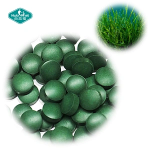 Nutrifirst Immune Booster Superfood Suplemento de alto nivel de proteína, tableta de espirulina, píldora a granel con clorofila B12