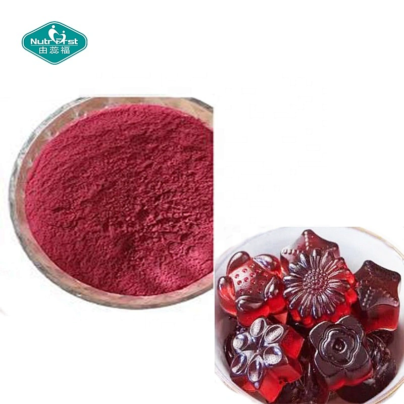 Manufacturer Custom Organic Colorants Red Beet Root Betalaine Extract Betacyanins Powder 10% Betanin in Bulk
