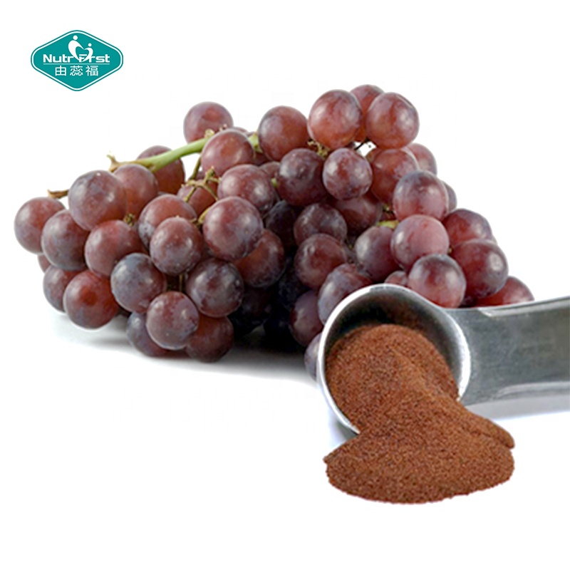 Antioxidante 95% OPC Polvo de antocianina OPC orgánico Soluble en agua Extracto de semilla de uvas negras Vitis Vinifera L.