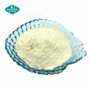 Nutrifirst Wholesale Pure Luo Han Guo Concentrated Powder Fructus Monordicae MonkFruit Extract Powder in Bulk
