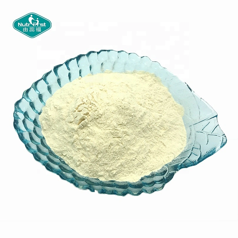 Nutrifirst Wholesale Pure Luo Han Guo Concentrated Powder Fructus Monordicae MonkFruit Extract Powder in Bulk