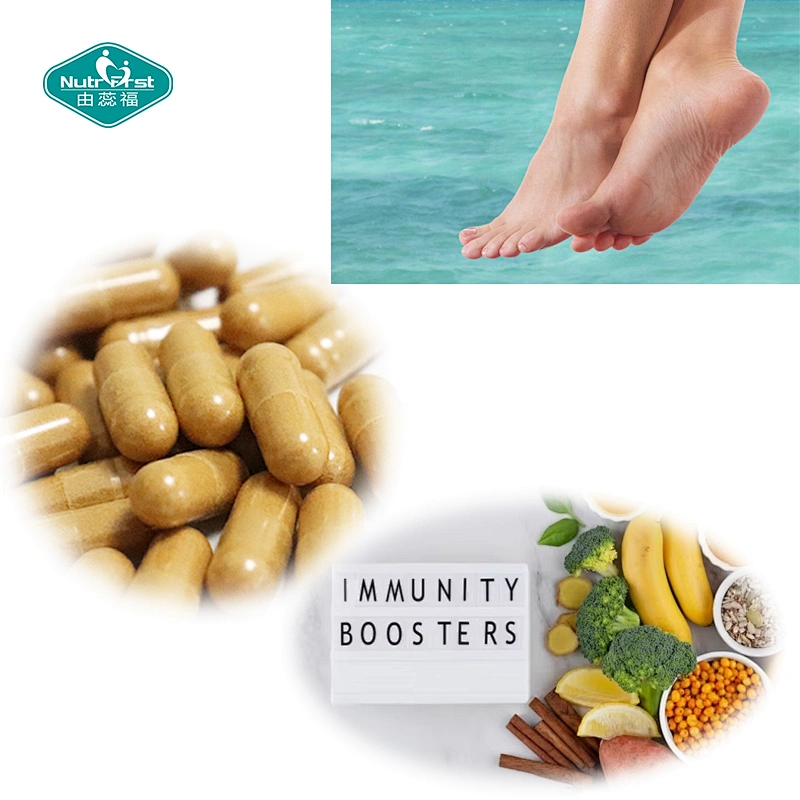 Nutrifirst Herbal Extract Oregano Basil Leaf Garlic Bulb Apple Cider Vinegar Wormwood Capsules for Immune Support
