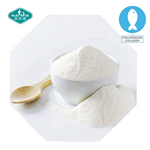Suplementos de belleza a granel, péptidos de colágeno en polvo, polvo de colágeno hidrolizado de pescado de pollo porcino bovino