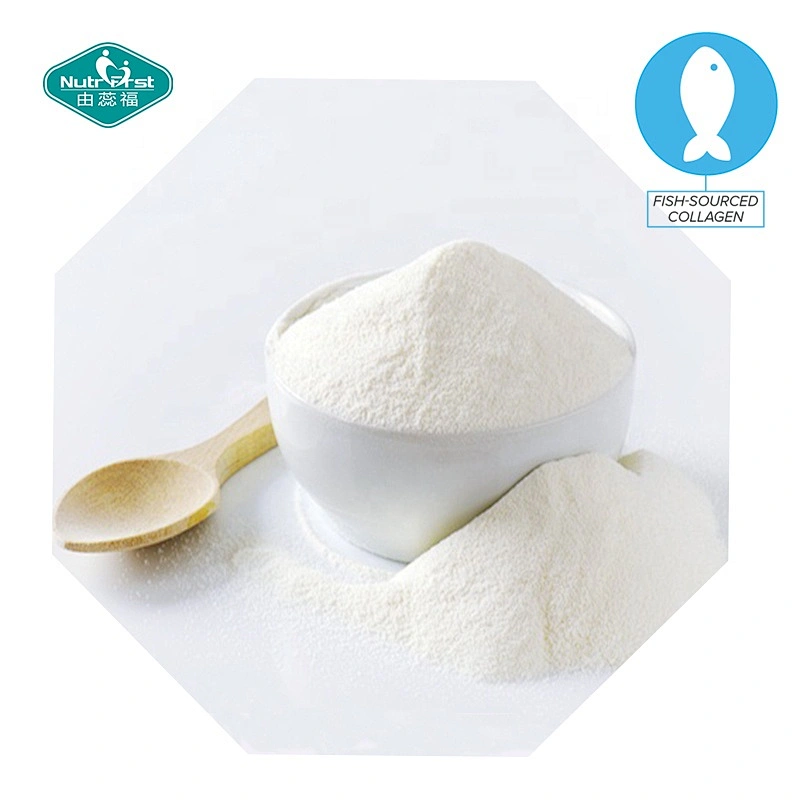 Suplementos de belleza a granel, péptidos de colágeno en polvo, polvo de colágeno hidrolizado de pescado de pollo porcino bovino